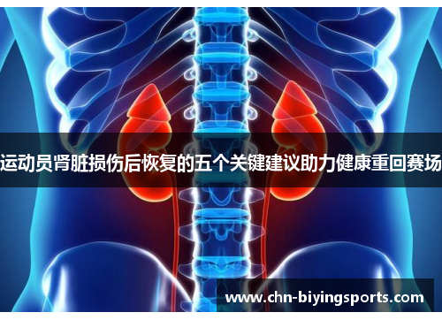 运动员肾脏损伤后恢复的五个关键建议助力健康重回赛场